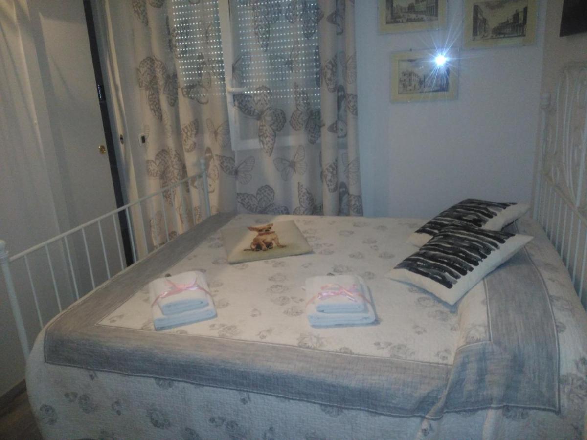 B&B San Vitale ボローニャ エクステリア 写真